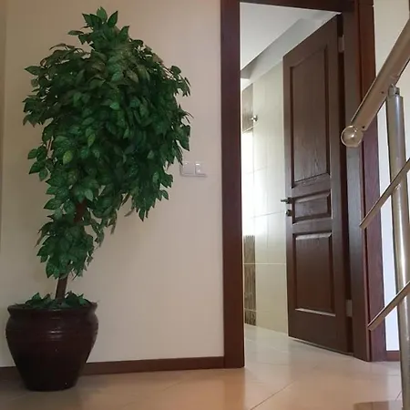 Pool Front Lux Tripleks * كوشاداسيه